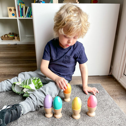 Montessori Egg and Cup Colour Matching (Custom)